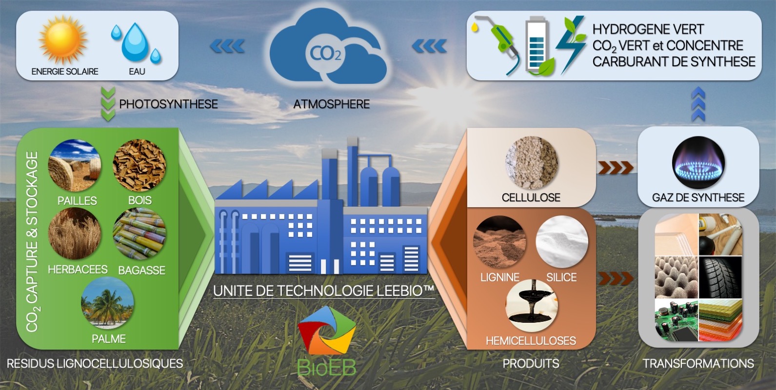 Les Types De Bioénergies _ Bioénergie – XGOY