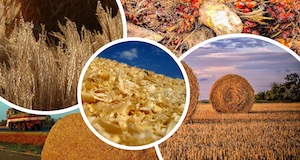 Raw Materials